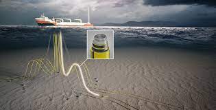 Integrity Management of Flexibles and Risers image